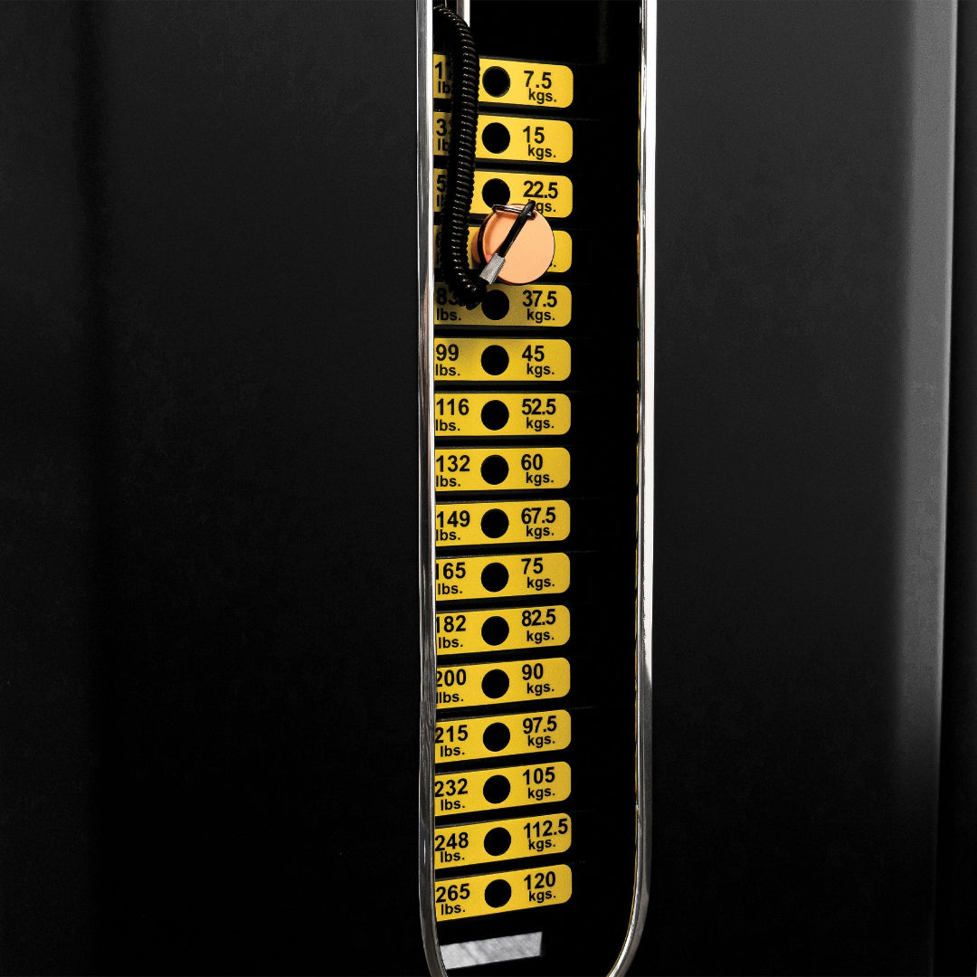 Reeplex Bicep Curl & Tricep Extensions Machine 2 in 1 Series 9