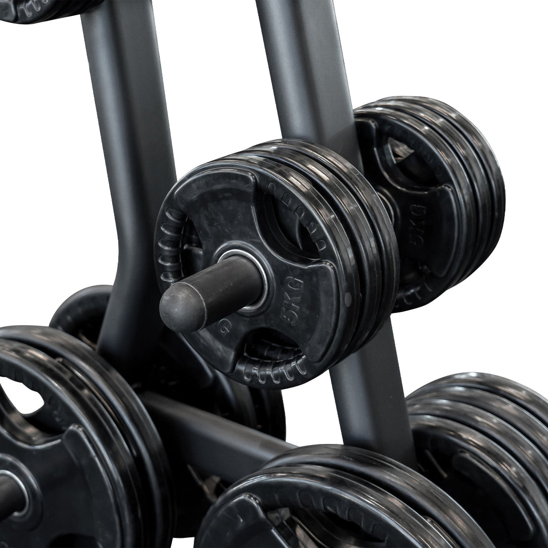 Reeplex Commercial Weight Plate Storage Tree 4