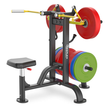 Commercial Plate loaded Lateral Raise