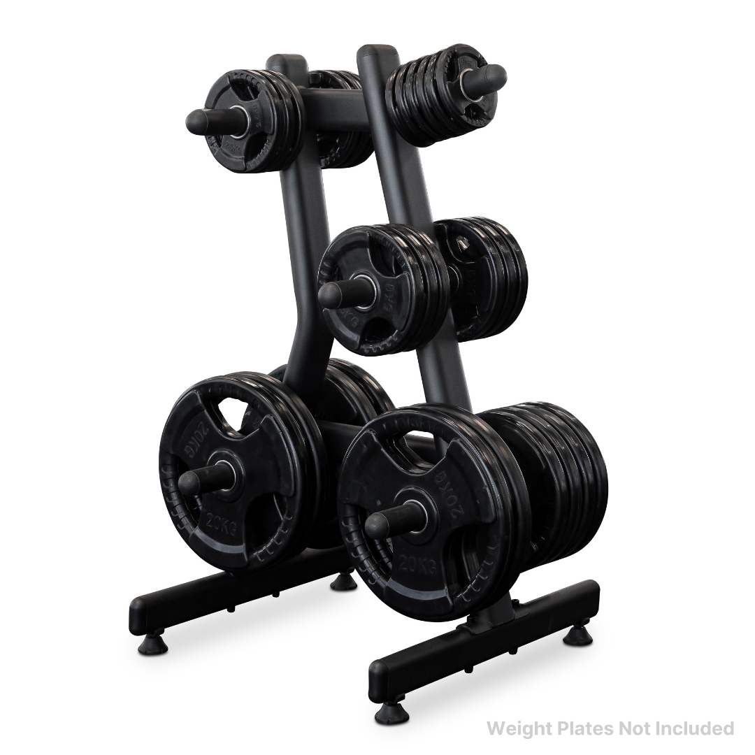 Reeplex Commercial Weight Plate Storage Tree 3
