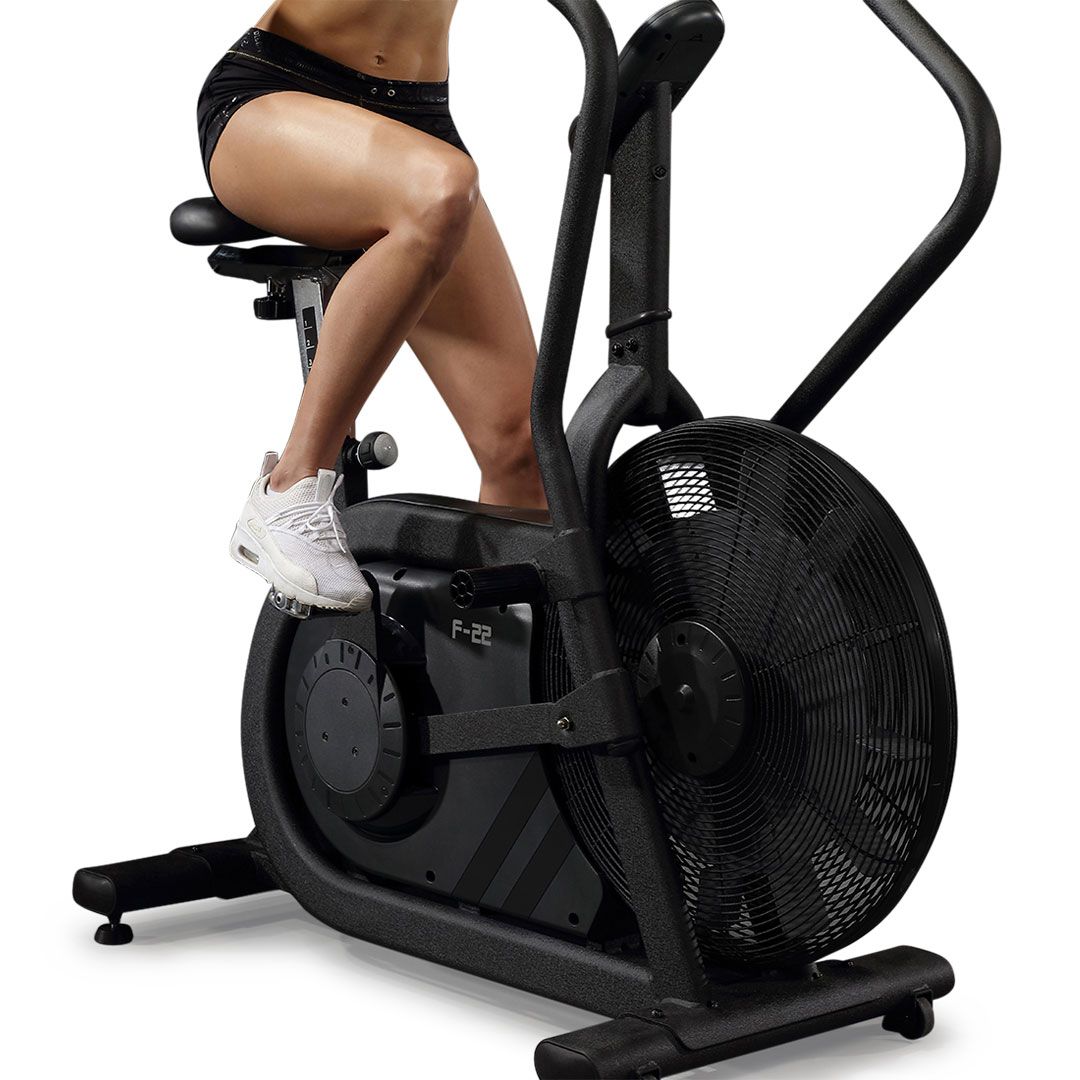 f22 model bottom shot