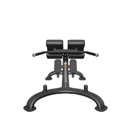 REEPLEXCOMMERCIAL45DEGREEHYPEREXTENSIONBENCH