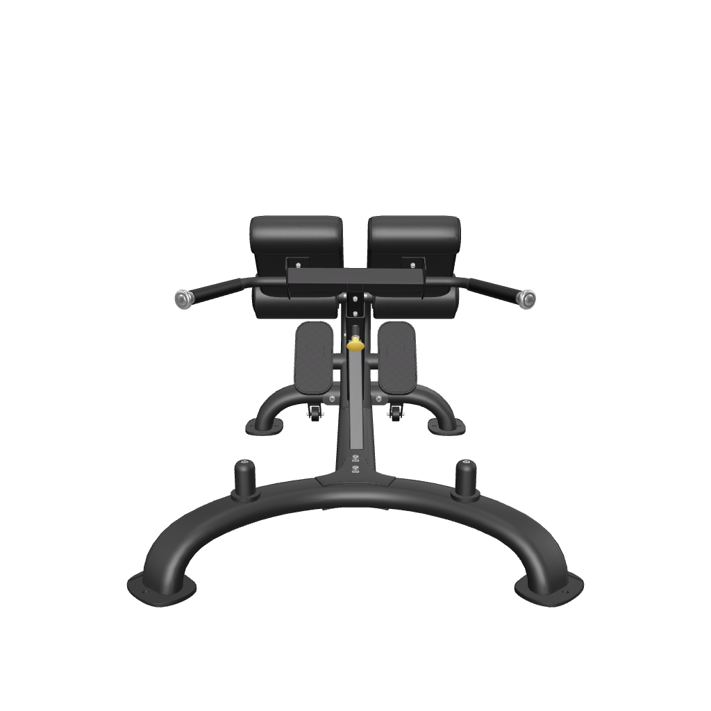 REEPLEXCOMMERCIAL45DEGREEHYPEREXTENSIONBENCH