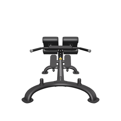 REEPLEXCOMMERCIAL45DEGREEHYPEREXTENSIONBENCH