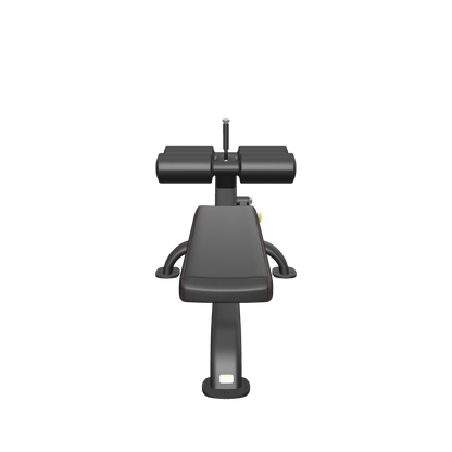 REEPLEXCOMMERCIALSITUPDECLINEBENCH