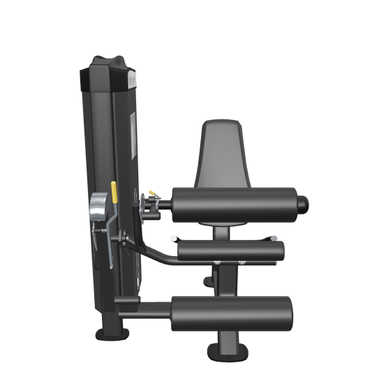 ReeplexLegExtension-LegCurlMachineExtensionsDualFuntionSeries