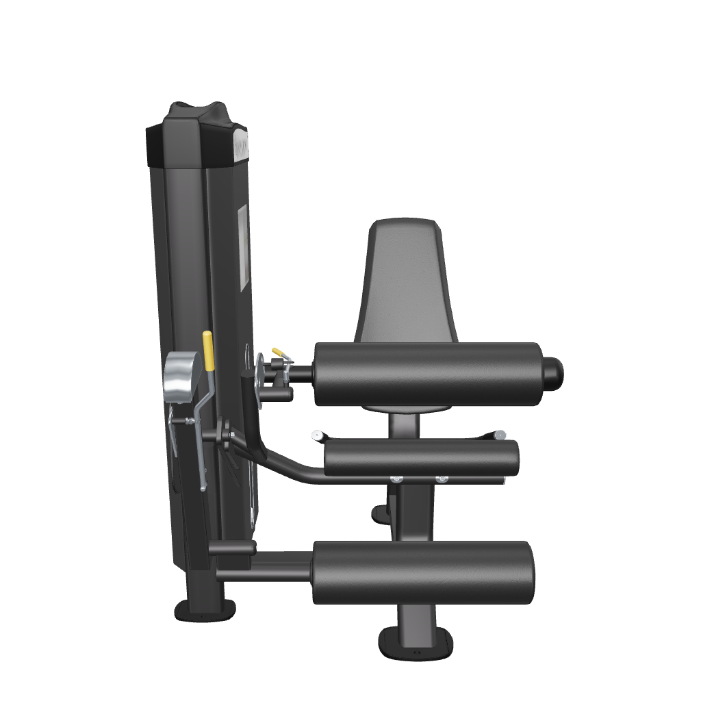 ReeplexLegExtension-LegCurlMachineExtensionsDualFuntionSeries