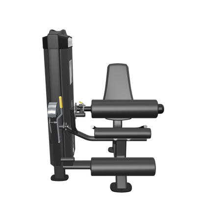 ReeplexLegExtension-LegCurlMachineExtensionsDualFuntionSeries