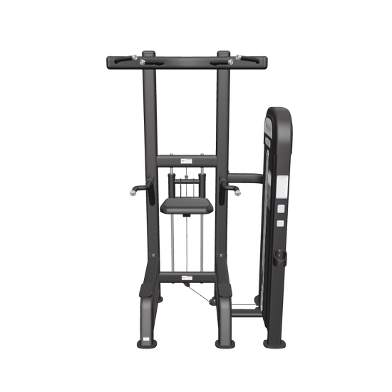 reeplexcommercialdipchin-upassistmachine