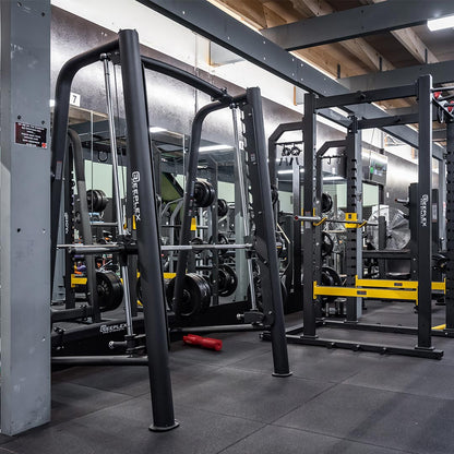 Reeplex Commercial Linear Bearing Smith Machine